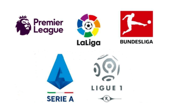 了这一市场 了这一市场